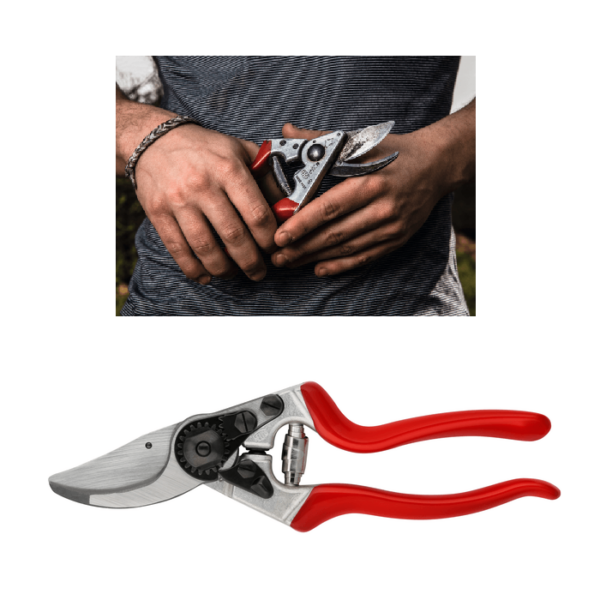 Felco 8 Reb- und Baumschere