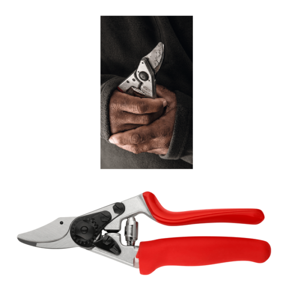 Felco 12 Reb- und Baumschere